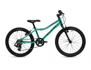 Dětské kolo 20" Al Nipper, Revo-6, chromovaný zelený (7.22 kg)